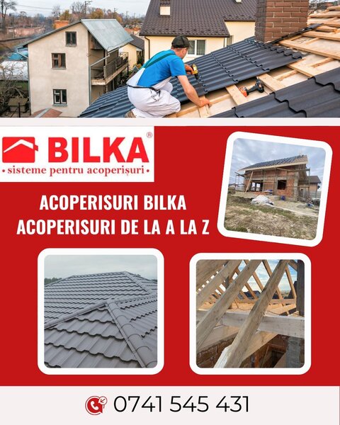 Acoperisuri si reparatii de urgenta