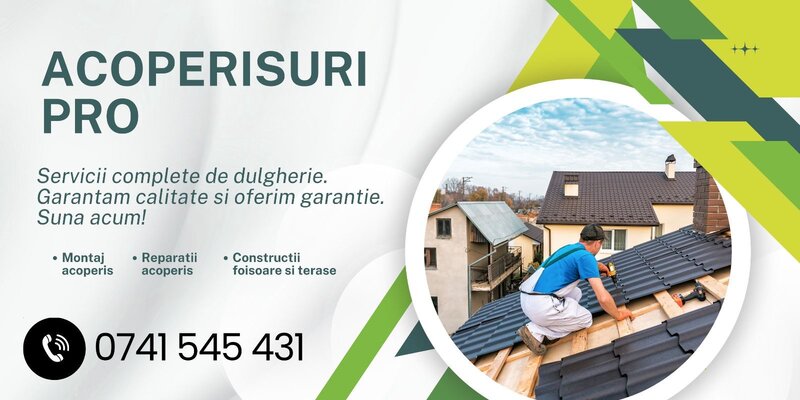 Acoperisuri si reparatii de urgenta